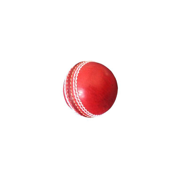 Bas Autograph Cricket Ball - Sports Grade