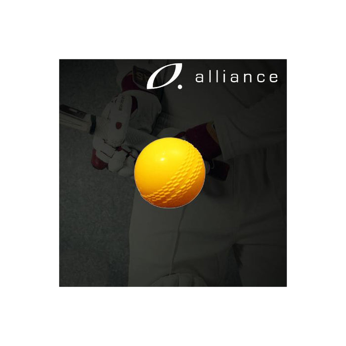 Alliance Modified Cricket Ball - Sports Grade