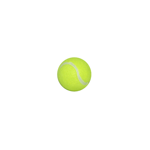 Wish Tennis Ball Coaching Yellow - Sports Grade